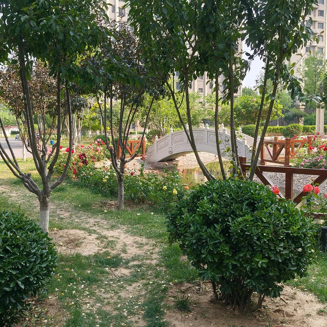 缘来是你