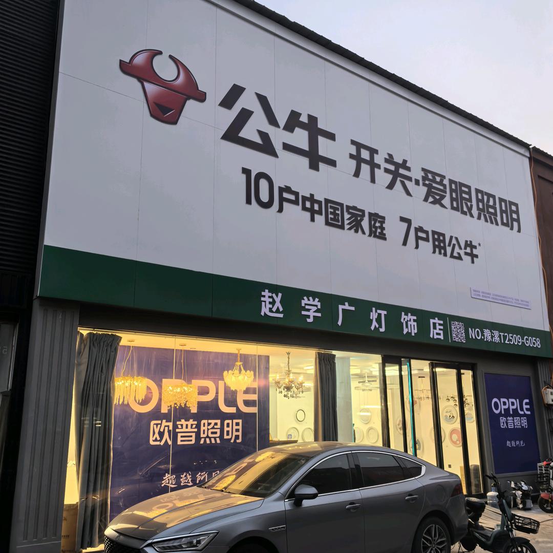 漯河市智能家居学广灯饰