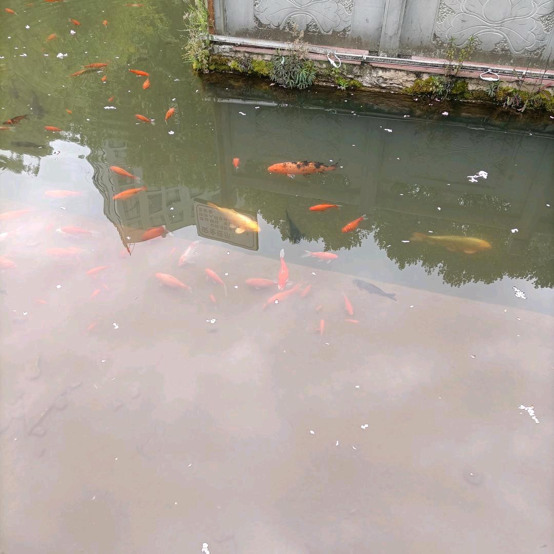 用户6010375702444