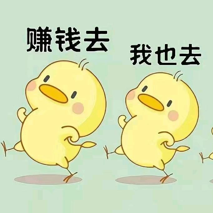 小亓网络服务部