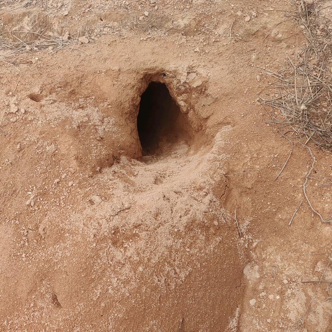 中央空调冷冻水管安装辉