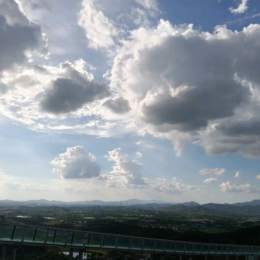 黄陂网红杨哥