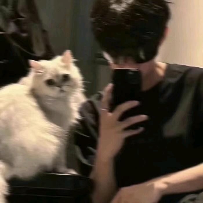 关你屁事   关我屁事