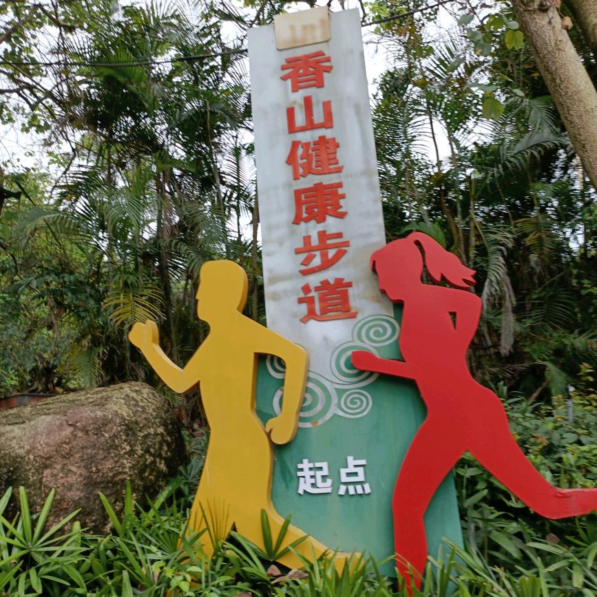 光头