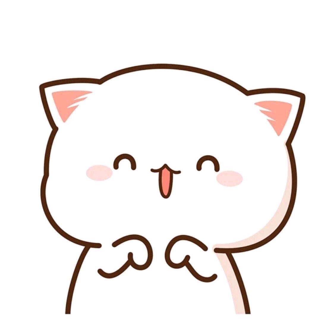 叫我啊猫