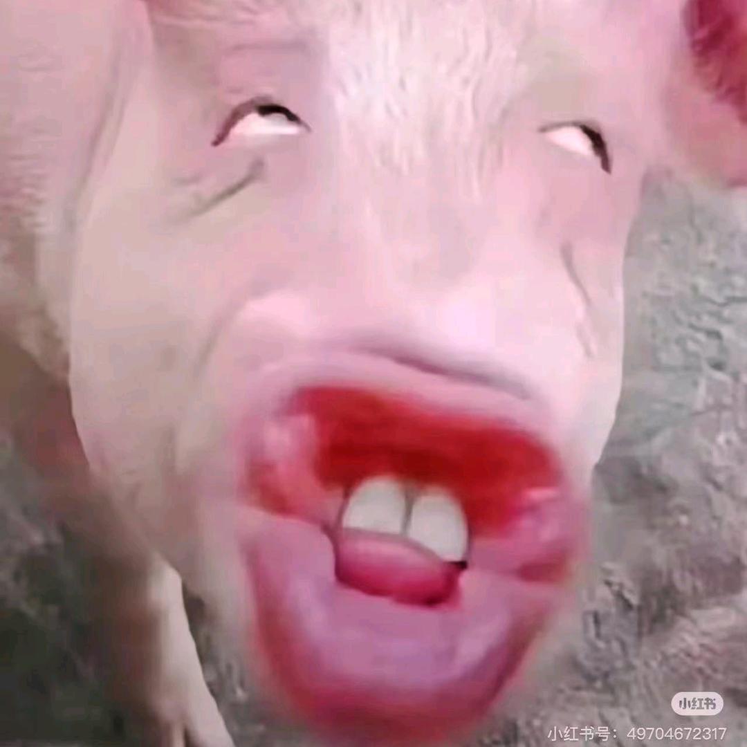 菲儿✨