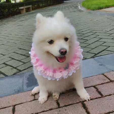 选择很重要❗❗❗