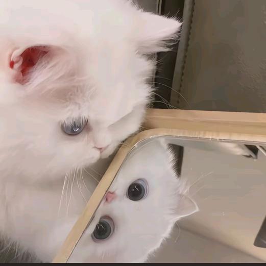 小熊宝宝要吃饱饱