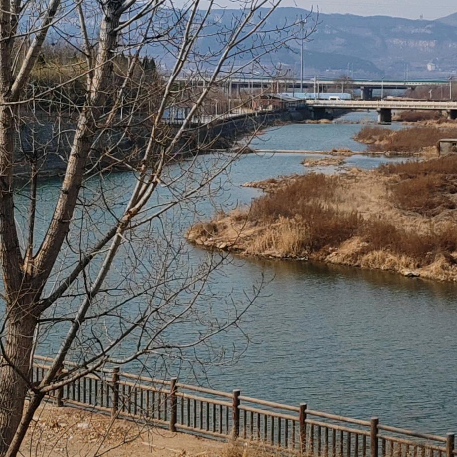 气门芯