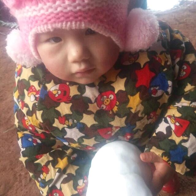 春天燕孑