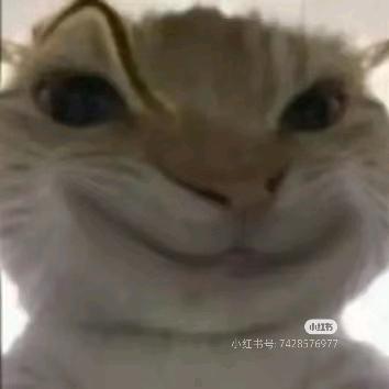 人于、、（三角洲菜鸟）