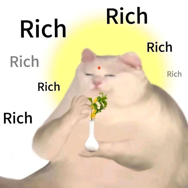每天一个烂梗
