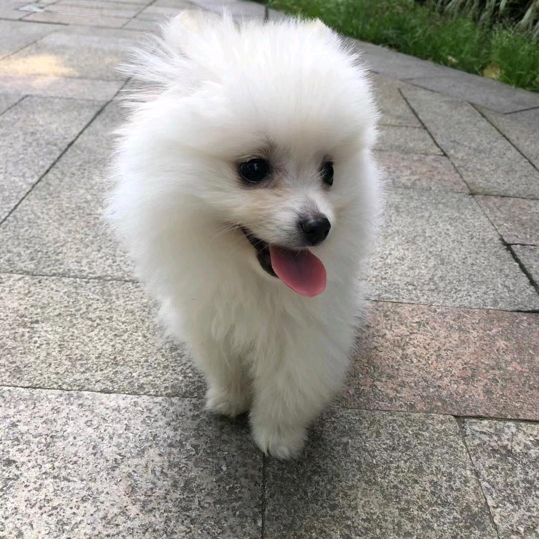 圆方