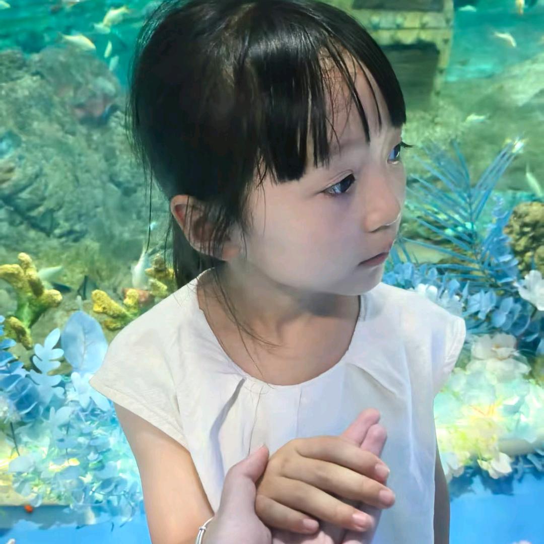 @🌺秋天☘️的雨🌹