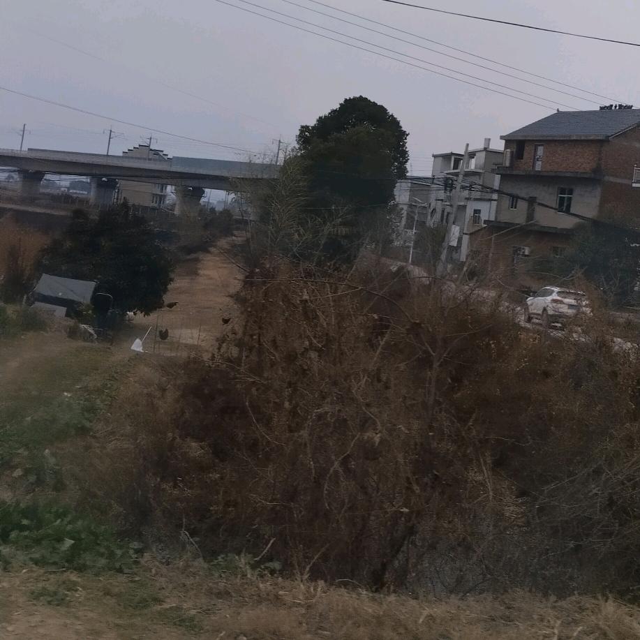 好运常伴