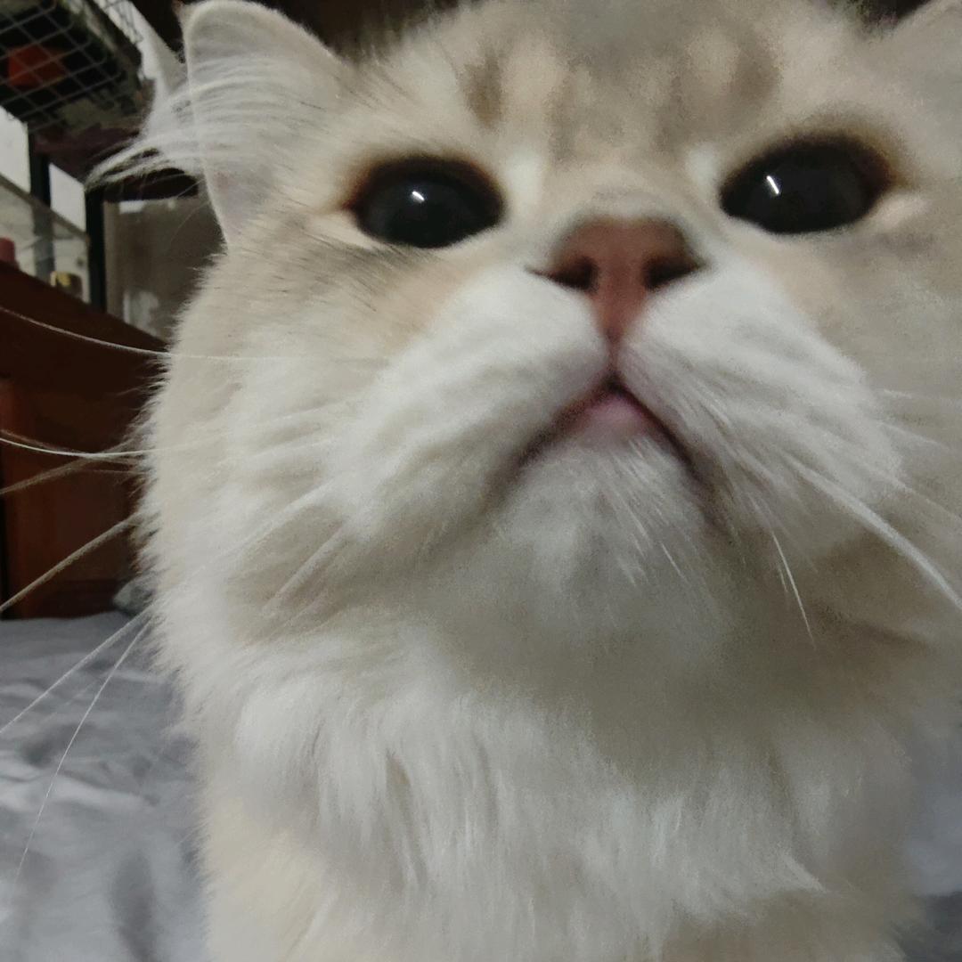 馥
