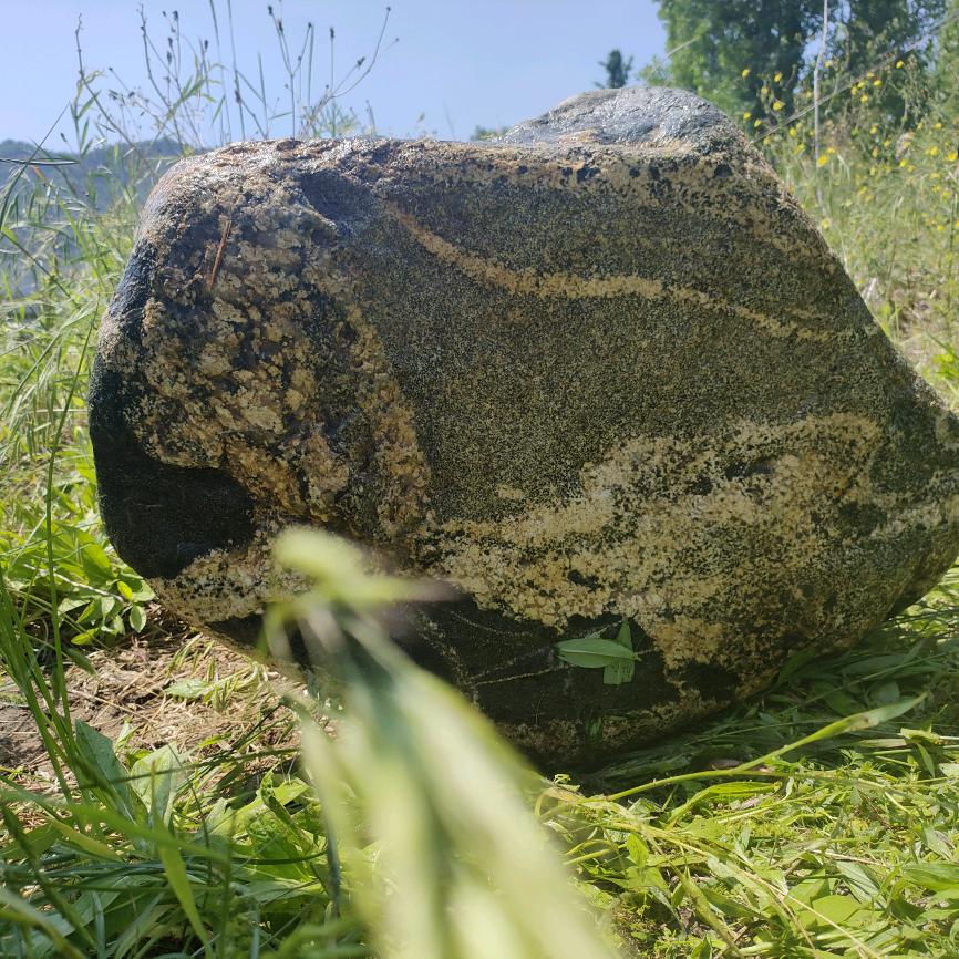 春荆