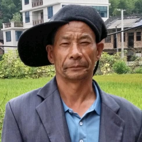 奇憨憨
