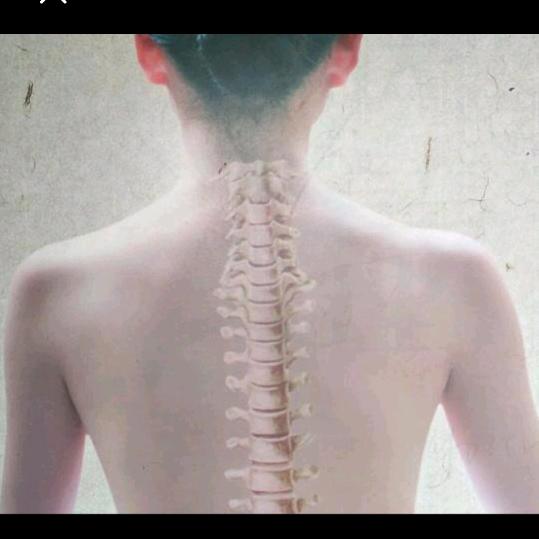 零茄零🌟🇨🇳