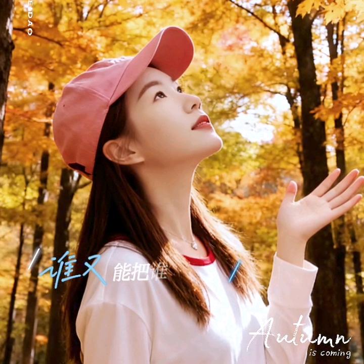 一朵花