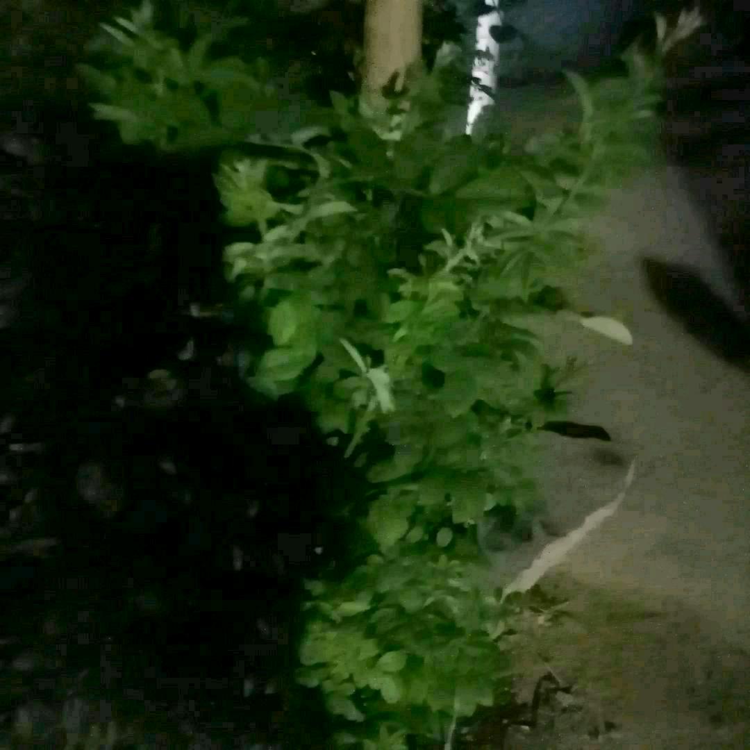 梦🌺想🌺成💐💐真💐9🌺