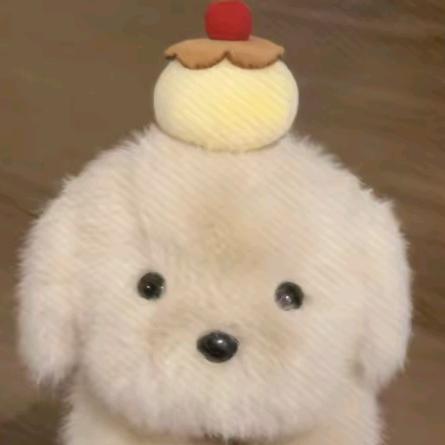 两碗抄手.