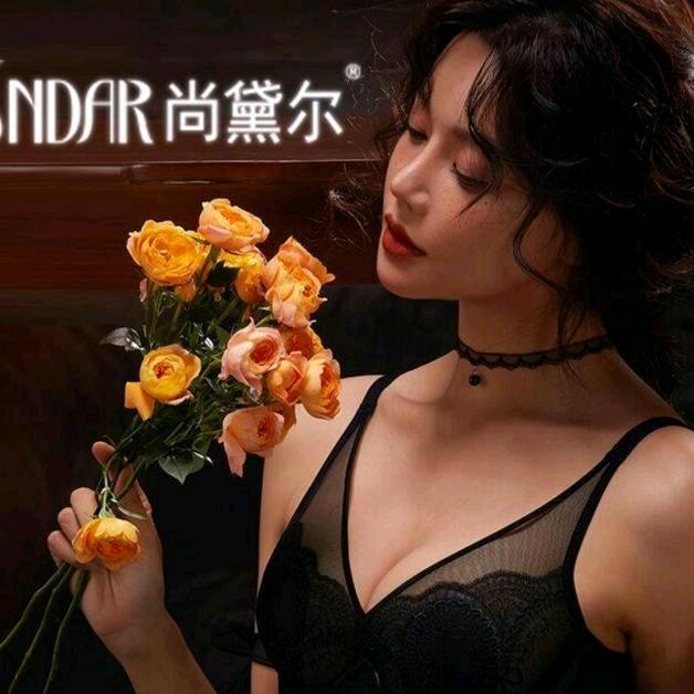 吴所谓尚黛尔