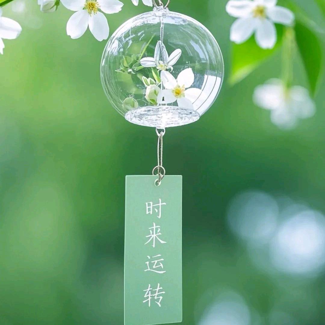 不讲李的小仙女