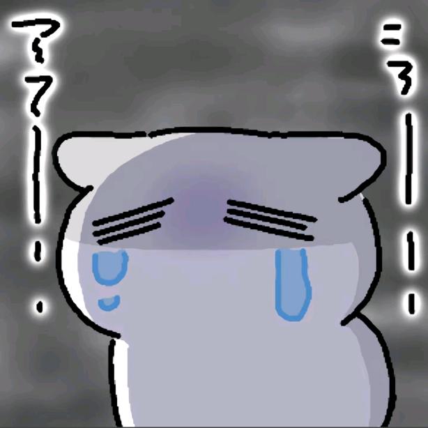 CC水母（杭州后勤）