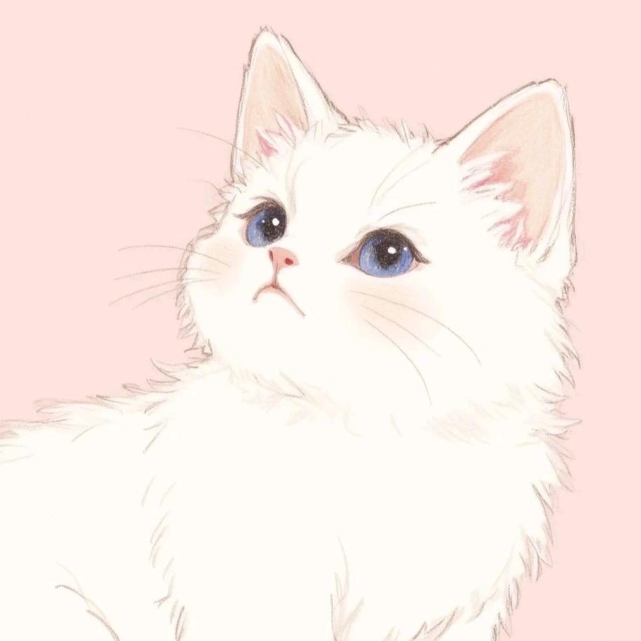 圆圆是不是汤圆🐱