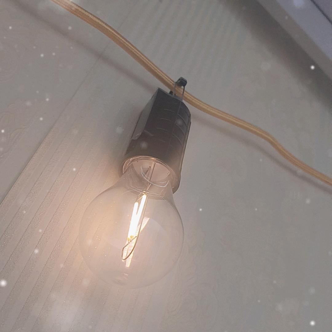 正文