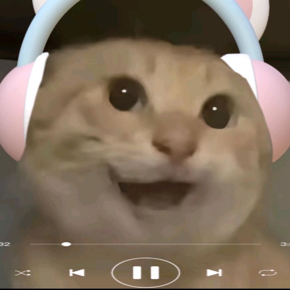 孤独的狼崽子