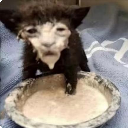 天天被打压