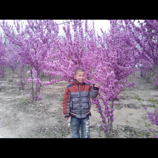 还是怀念小时候