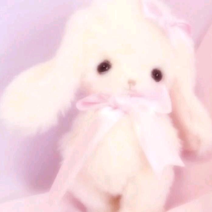 口古=•ㅅ＜=)☆