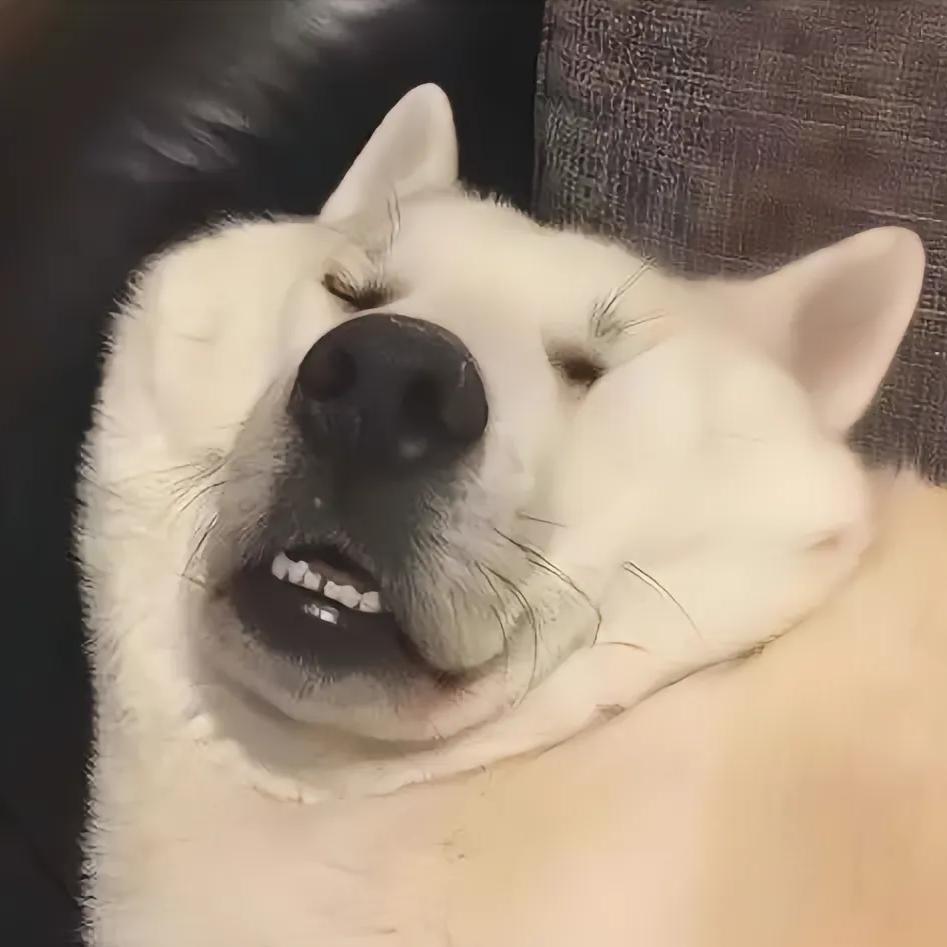 八月电影解说