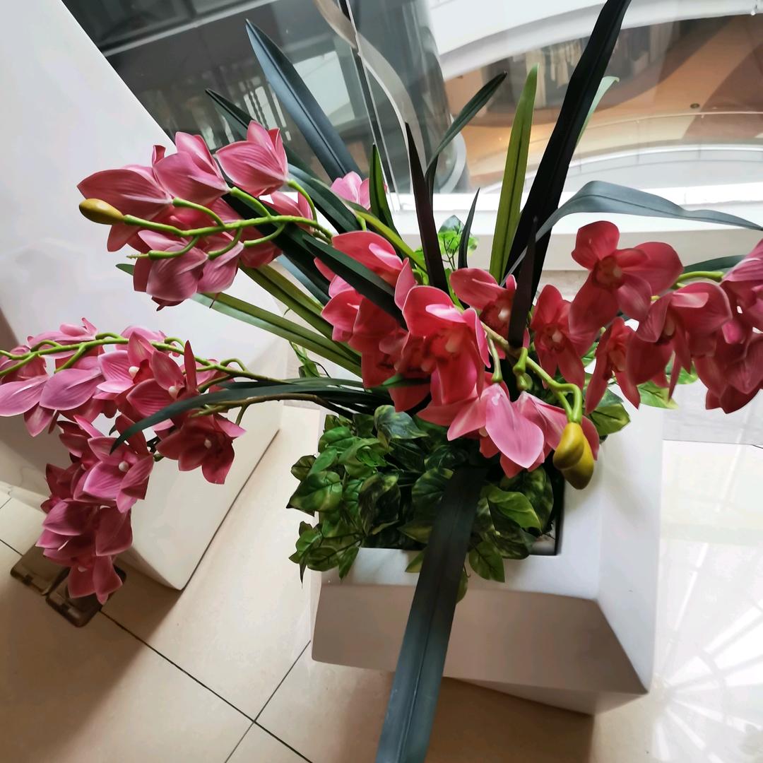 我是小苹果