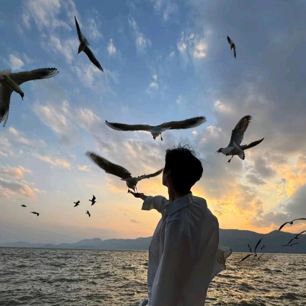 李.兰州高原夏菜