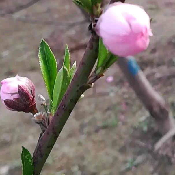 火花四溅带闪电