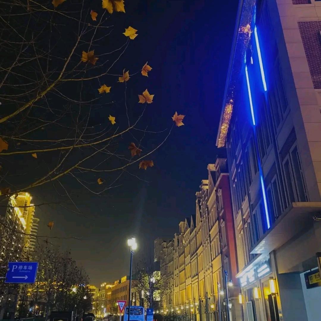 良心凉的就是心