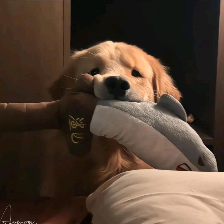 Leo，