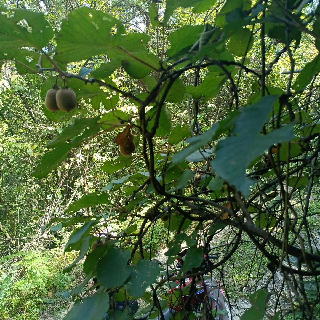 ℒ💕⃨ꪤ与孔🌈꯭幸胡ઈ࿐