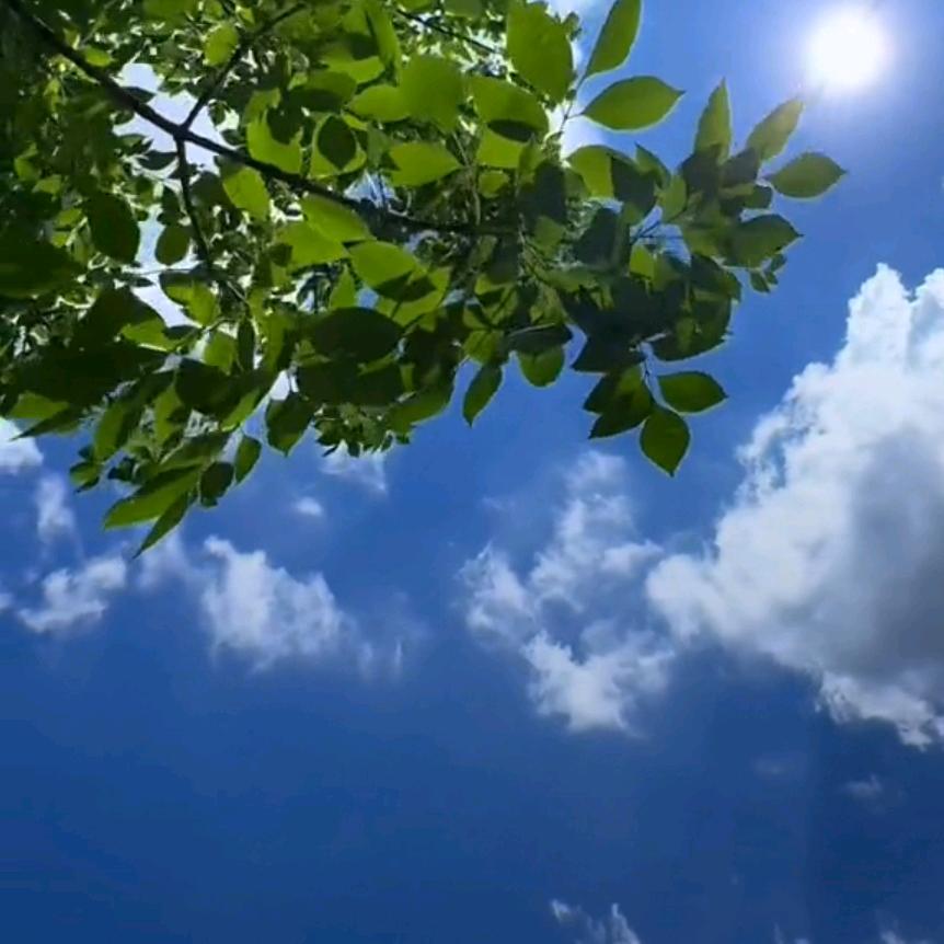 慧心聆听