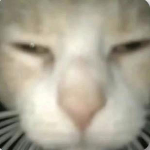 泡面