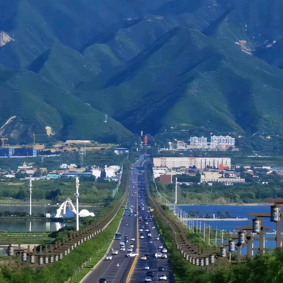 富龟🐢有鱼🐟