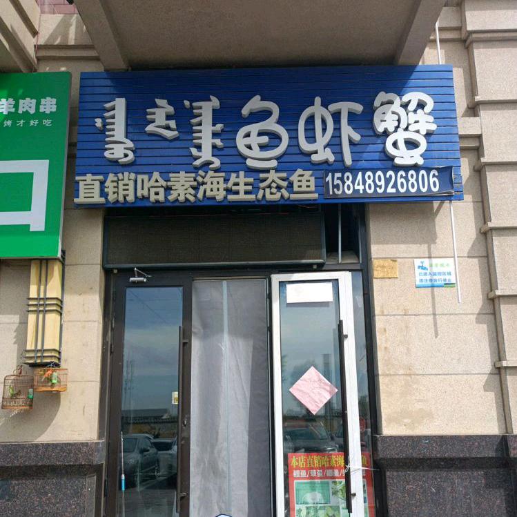 哈素海生态鱼🐟(西万达店)