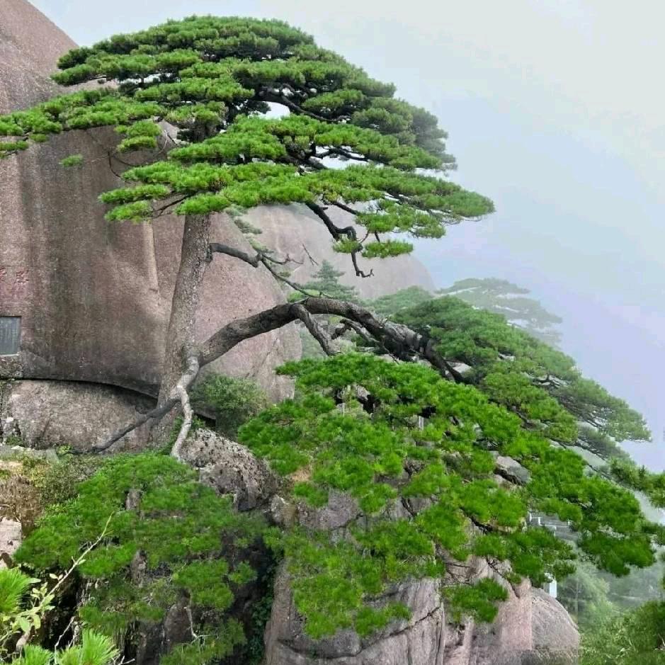 @锅碗瓢盆的生活