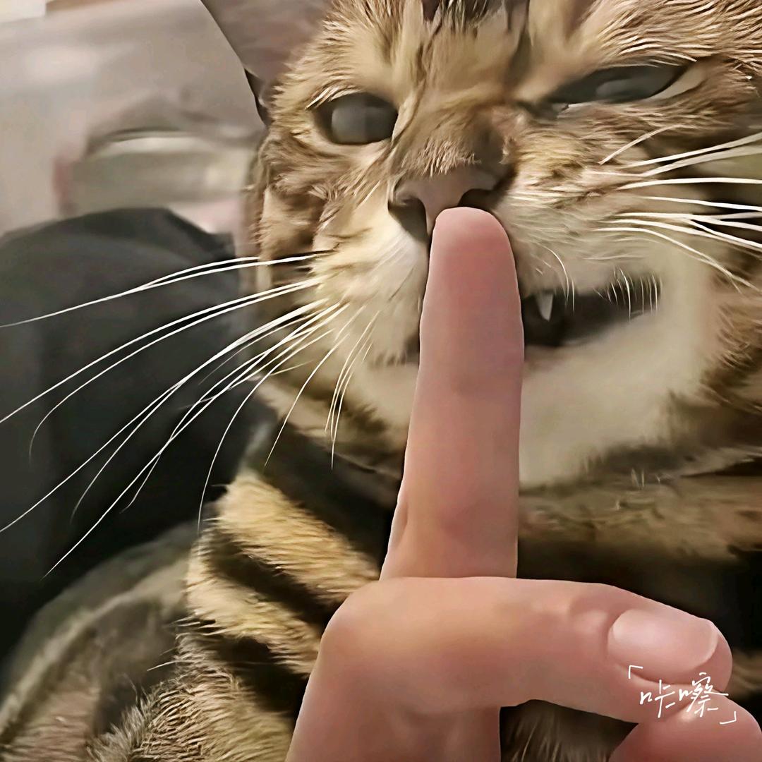 财神爷的白月光