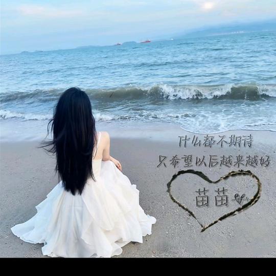 清浅 时光
