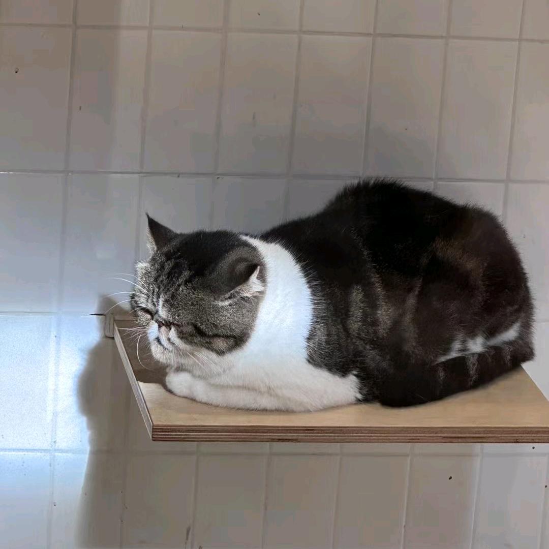 时间冲淡一切。